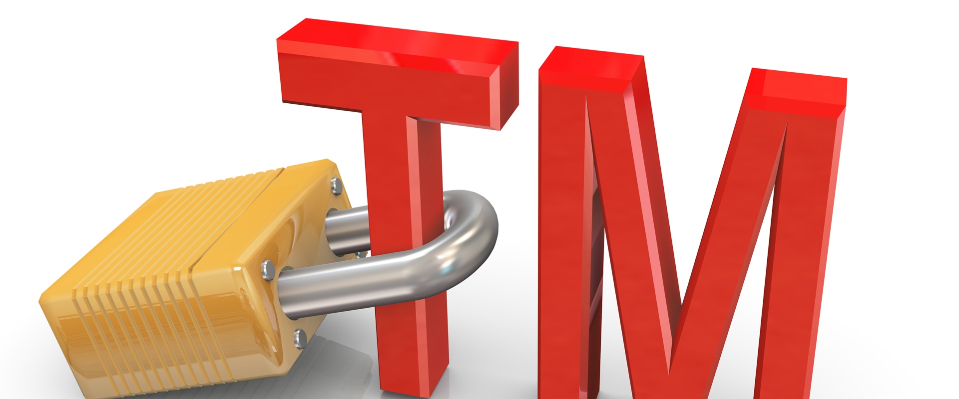 Exploring the Definition and Consequences of Trademark Infringement